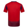 Camiseta de fútbol Costa Rica Primera Equipación 2024 - Hombre